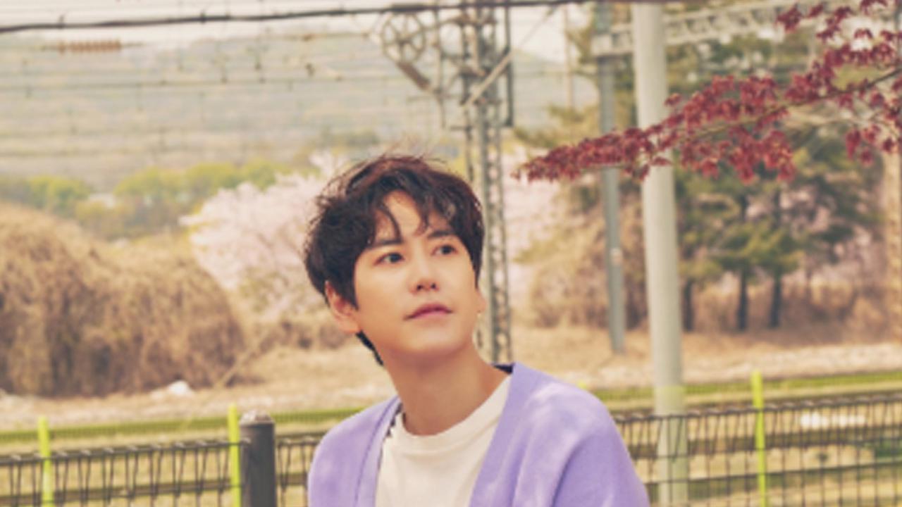 Kyuhyun 'SUJU'