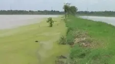 liputan6