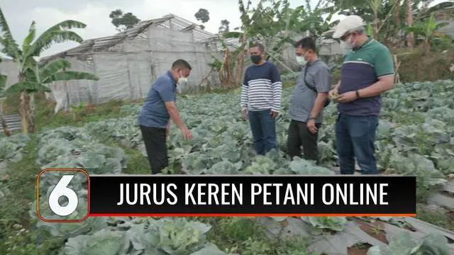 Situasi pandemi Covid-19 membuat Hary Permana yang tadinya adalah seorang karyawan perusahaan memilih bekerja sama dengan para petani di sejumlah daerah. Manfaatkan platform online untuk berjualan, demi kesejahteraan para petani.