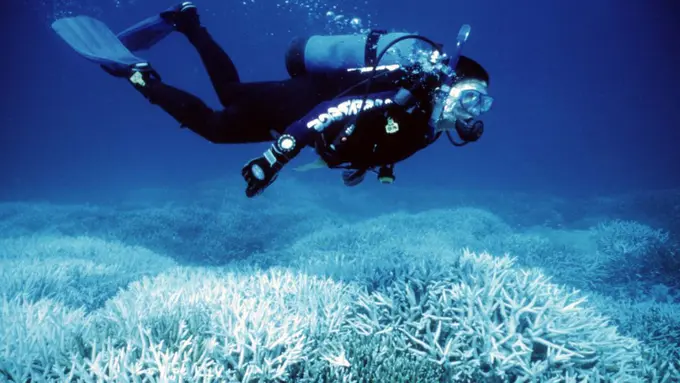 Potret Ini Buktikan Bagaimana Perubahan Iklim Menghancurkan Bumi