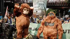 Pengendara sepeda dan aktivis lingkungan menghadiri aksi kesadaran yang menyerukan perlindungan orangutan selama Hari Bebas Kendaraan Bermotor (HBKB) atau Car Free Day (CFD) di Jakarta pada 24 Agustus 2025. (YASUYOSHI CHIBA/AFP)