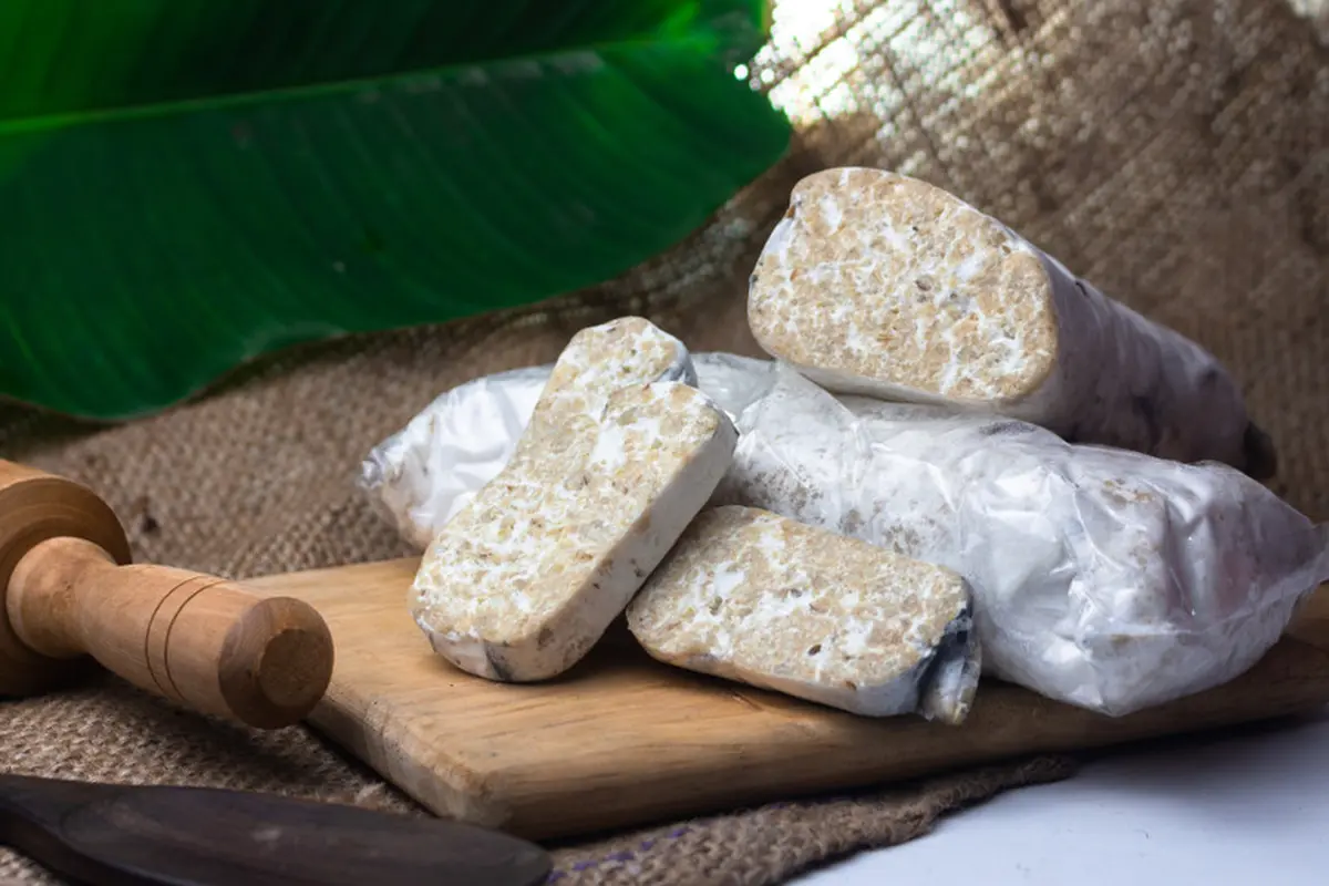 tempe menjes gembus