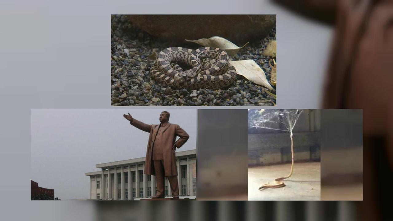 Top 3 Global (16/3/2016)