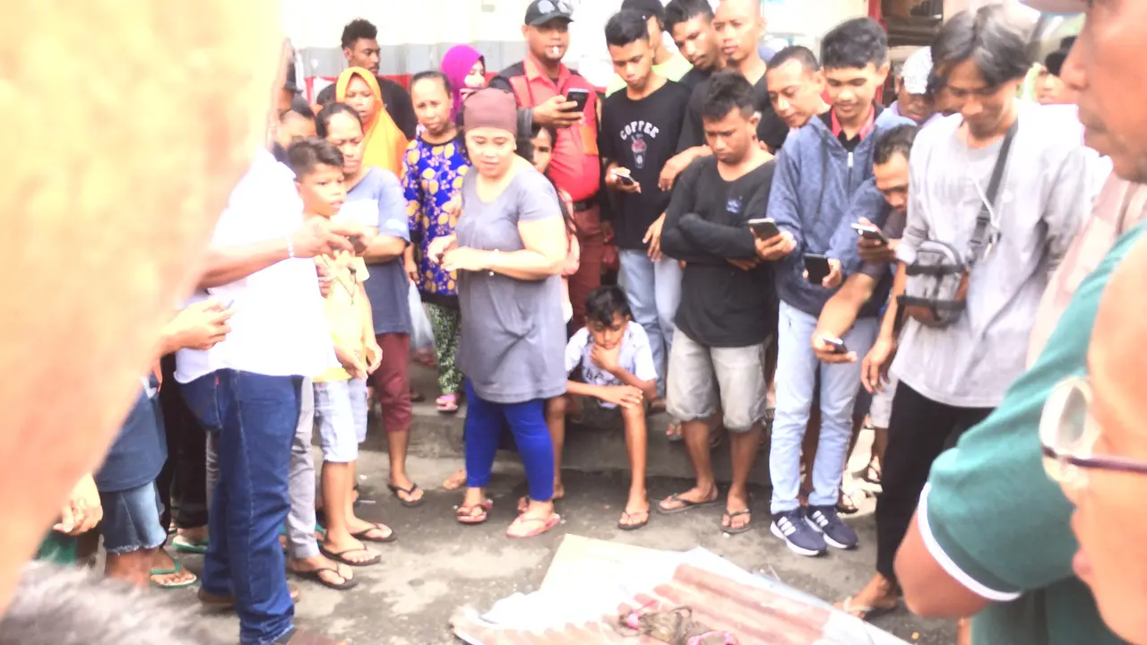 Buaya Bikin Resah Warga Kota Ambon