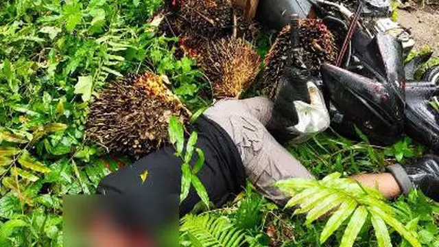 Bapak dan Anak Aniaya Petani di Muratara Hingga Meregang Nyawa