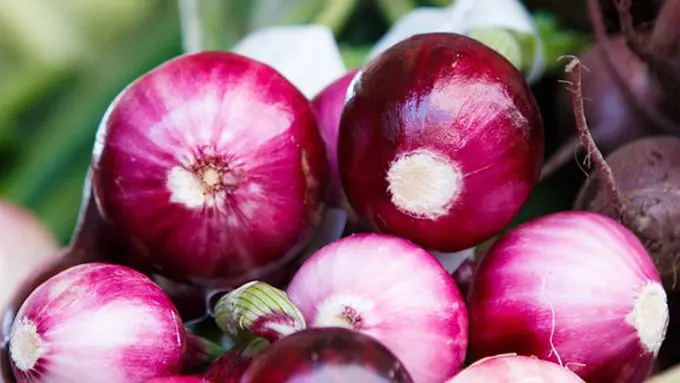 Copyright: unsplash/thomas martinsen