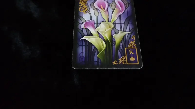 Tarot Hari Ini, Jumat, 8 Juni 2018 (Foto: Elisabet Kusumodewi)