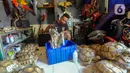 Ahli taksidermi menyiapkan binatang peliharaan untuk diawetkan di workshop Pagoda Taksidermi, Pekayon, Jakarta, Selasa (1/8/2023). (merdeka.com/Arie Basuki)