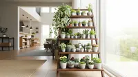 8 Ide Kebun Mini Indoor Aesthetic dan Kekinian, Hadirkan Oase Hijau di Hunian Modern