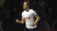 5. Harry Kane (Tottenham Hotspur) - 17 Gol (4 Penalti). (AP/Rui Vieira)