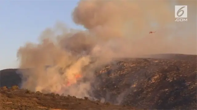 Kebakaran hutan melanda daerah selatan Athena, Yunani. 70 pemadam kebakaran dan 30 tangki air dikerahkan untuk memadamkan api.