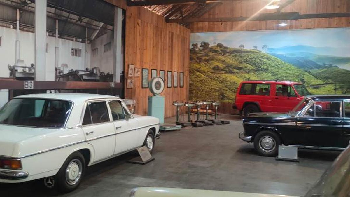 Tak Hanya Memproduksi Teh, Pabrik Sosro di Slawi Jadi Destinasi Wisata dan Siap Membangun Museum