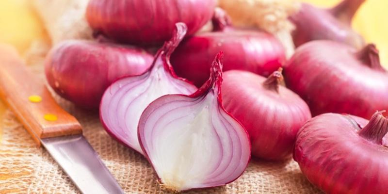 Ilustrasi bawang merah