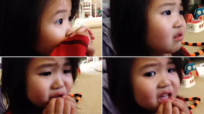 Foto: copyright youtube.com/shotamerican