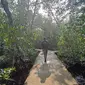 Berjalan-jalan di kawasan hutang mangrove di Pulau Pramuka, Kepulauan Seribu. (dok. Liputan6.com/Dinny Mutiah)