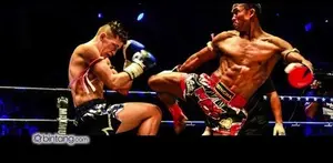 Artis Cantik Indonesia Penggemar Muaythai