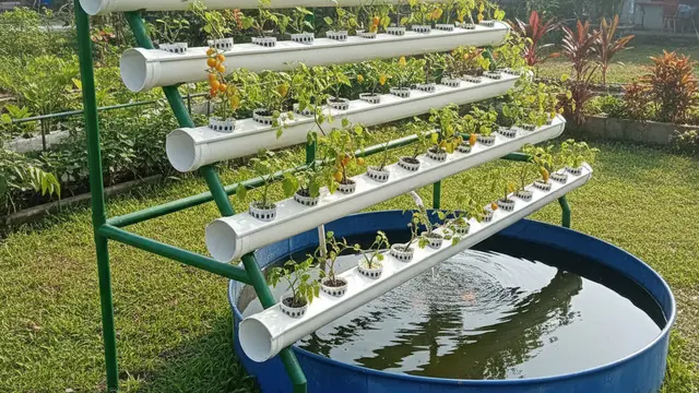 Desain Kebun Sayur Vertikultur Tanpa Tanah. AI