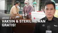 Vaksin dan Steril Hewan Gratis!