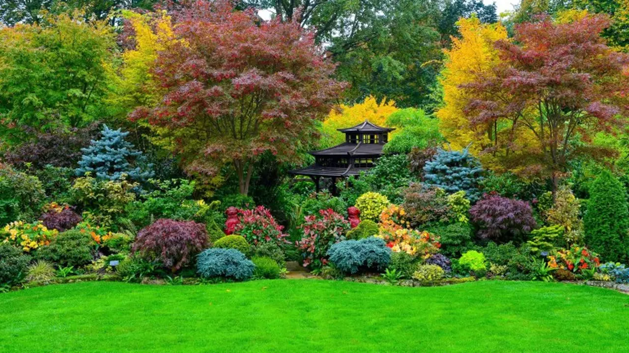 Taman