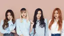 Belakangan ini beredar kabar jika lightstick resmi milik BLACKPINK didesain oleh para personlenya sendiri. Hal tersebut terungkap melalui postingan foto yang ada di Instagram YG Select. (Foto: Soompi.com)