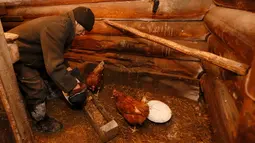 Mikhail Baburin (66) memberi makan ayam peliharaanya di belakang rumahnya di desa Mikhailovka, Siberia, 5 Desember 2016. Mikhail Baburin tinggal bersama hewan-hewan lokal di desanya. (REUTERS/Ilya Naymushin)