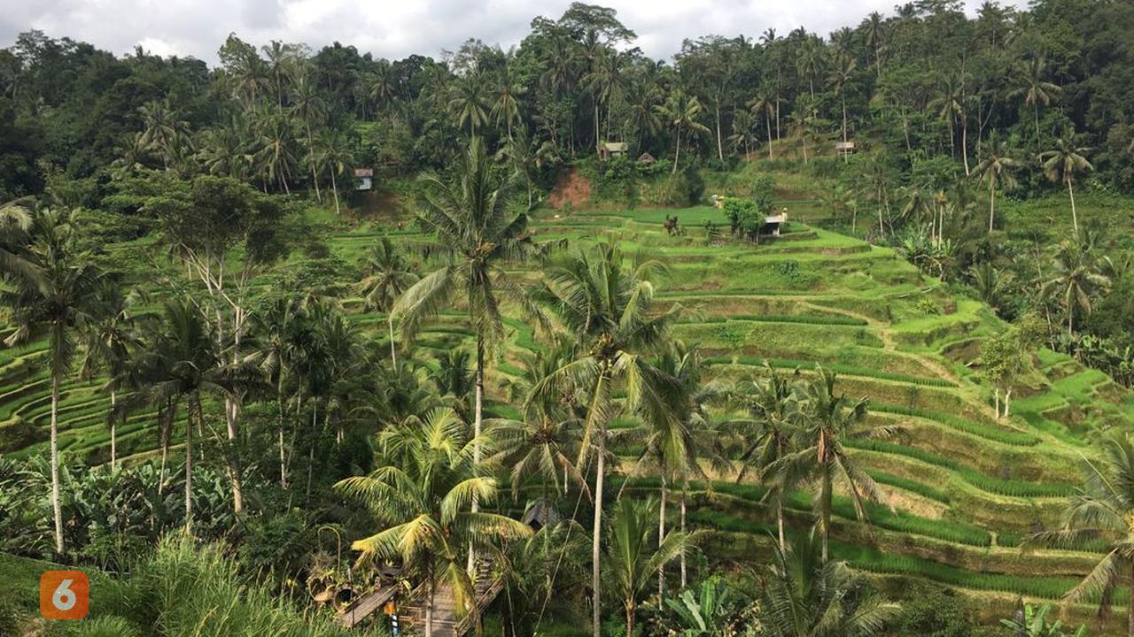 Tegallalang Rice Terrace
