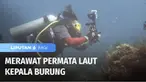 Siapa yang tidak terkagum-kagum dengan keindahan bawah laut Raja Ampat, Papua Barat? Untuk menjaga kelangsungan dari terumbu karang dan ikan-ikan di dalamnya, sekelompok peneliti melakukan pemantauan berkelanjutan agar surga bawah laut tetap lestari.