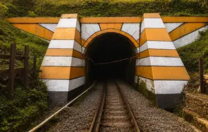 10 Terowongan Kereta Bersejarah di Indonesia, Mana Tertua?
