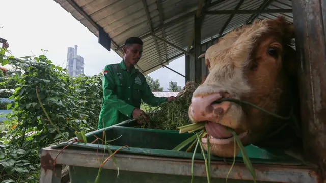 Edupark Semen Gresik Pabrik Rembang Membangun Kemandirian Pangan dan Ekonomi Warga