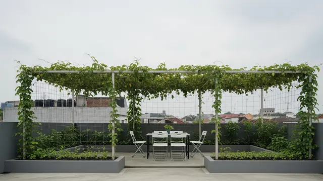 Inspirasi Kebun di Rooftop 3x3 Meter