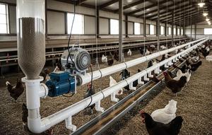 desain tempat pakan ayam otomatis dari pipa. Foto: Gemini