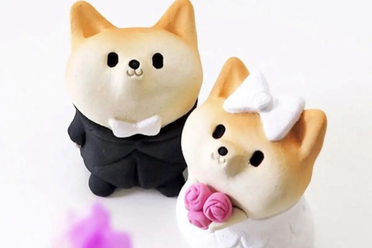 [Bintang] 10 Inspirasi Kado Valentine untuk si Dia yang Suka Shiba Inu