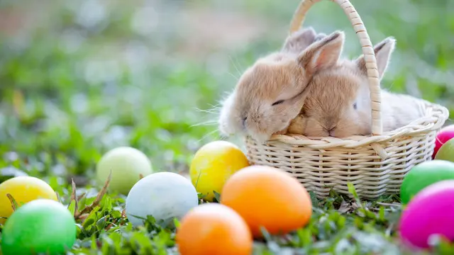 Ilustrasi Pernak Pernik Paskah, (sumber: iStockphoto)