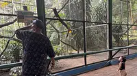 Pengunjung Padati Ragunan saat HUT RI ke-80, Fasilitas Baru Bikin Betah