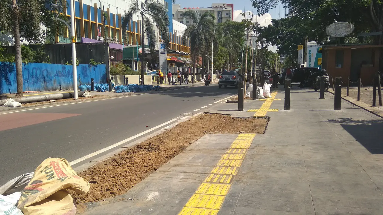 Pohon-pohon tabebuya telah berdiri tegak, tertanam di sepanjang trotoar Cikina, Jakarta. (Liputan6.com/Ade Nasihudin Al Ansori)