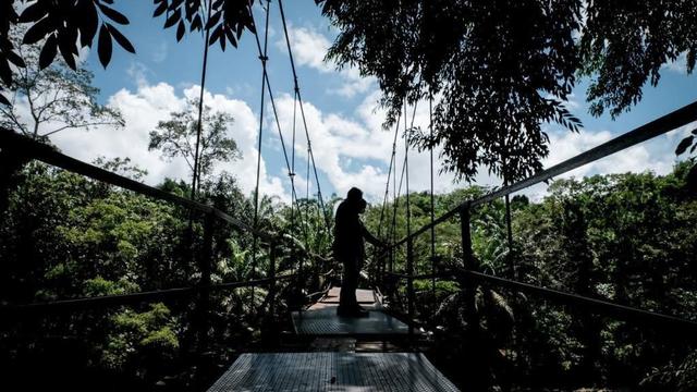 Ekowisata Batu Katak, Kabupaten Langkat, Sumatra Utara
