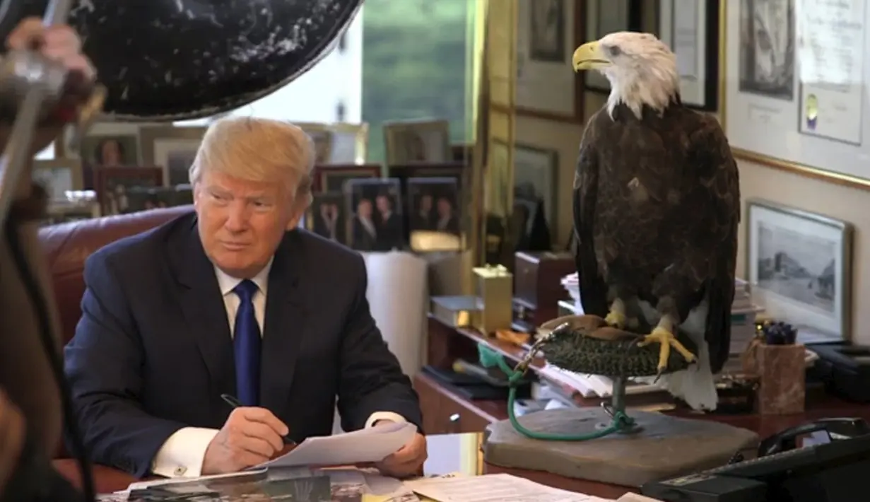 Kandidat calon presiden AS, Donald Trump duduk didampingi burung elang yang sudah berumur 27 tahun saat sesi pengambilan foto di kantor Majalah TIME untuk nominasi dia sebagai Person of the Year, Kamis (10/12). (REUTERS/TIME Magazine)