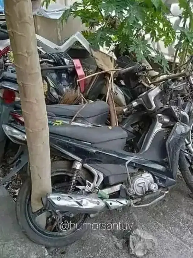 Kumpulan Potret Mobil dan Motor yang Kena Sial saat Parkir (ist)