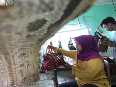 Pengunjung melihat tas berbahan dasar kulit ular di bengkel kerja di Cibitung, Jawa Barat, Selasa (12/4). Produk tas tersebut di ekspor ke beberapa negara yakni Singapura, korea dan rusia dll. (Liputan6.com/Angga Yuniar)