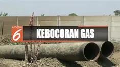 Areal persawahan milik warga Demak, Jawa Tengah, tersembur lumpur diduga karena kebocoran instalasi pipa gas Pertamina.