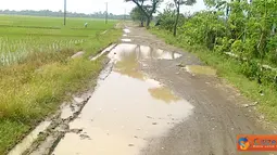 Jalan Penghubung Desa Kudangwangi-Keboncau Rusak