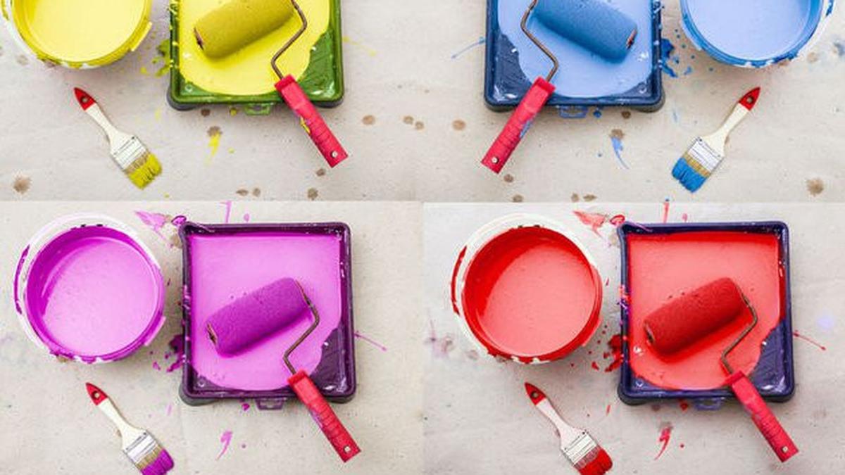 Perbandingan Cat Water Based vs Oil Based: Mana yang Lebih Awet untuk Dinding?