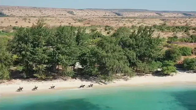 Pantai Ratenggaro, Wisatawan pun bisa berkuda di laut dan berkeliling pasir putihnya yang tampak seperti kristal. (Liputan6.com)