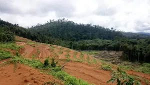 Apa Itu Pembukaan Lahan Tanpa Bakar (PLTB)? Ini Pengertian, Metode, dan Manfaatnya