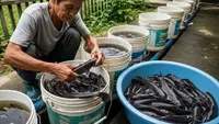 9 Ide Ternak Rumahan Kreatif dari Barang Bekas, Ubah Sampah Jadi Cuan