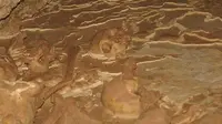 Tulang belulang di lantai gua Midnight Terror Cave (Ancient Origins)