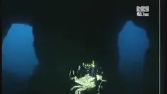 Beginilah penampakan kepiting paling berat sedunia.