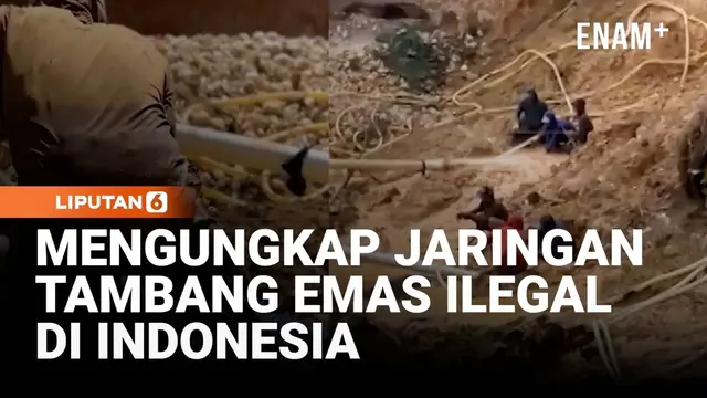 Mengungkap Jaringan Tambang Emas Ilegal yang Tersembunyi di Indonesia