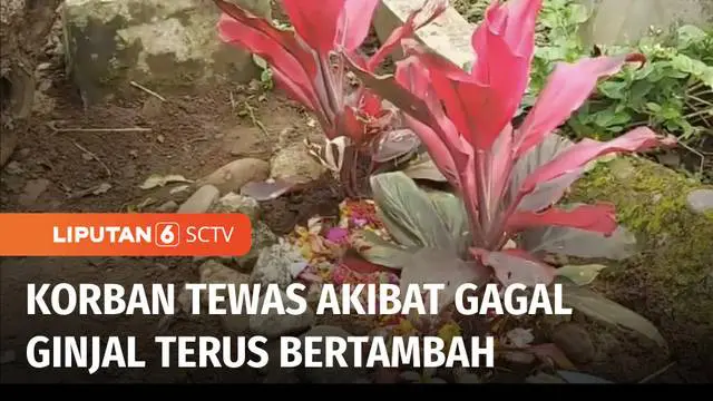 VIDEO: Bayi Usia 11 Bulan Meninggal Akibat Gagal Ginjal Akut Saat Akan Dirujuk ke Rumah Sakit