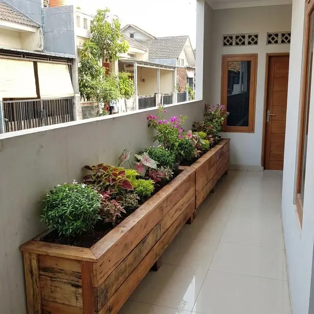 Kebun Mini Teras